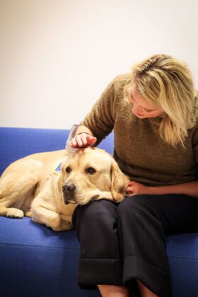 Politiezone Antwerpen