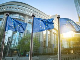 De Europese Unie neemt deel aan de Nationale Feestdag in Brussel De Europese Unie